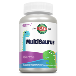 Dinosaures MultiSaurus