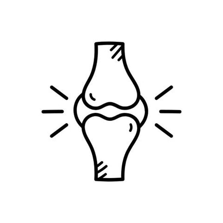 Articulation et Muscles