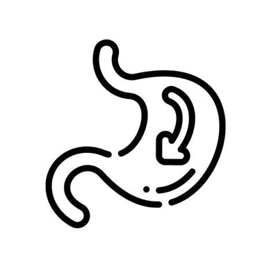 Digestion et Transit