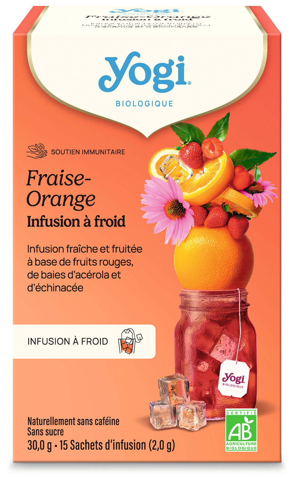 Infusions à froid Fraise Orange Bio