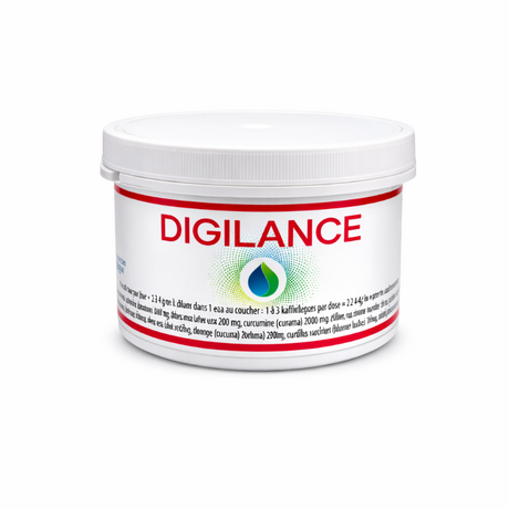 Digilance_Regenat_Jade_Recherche