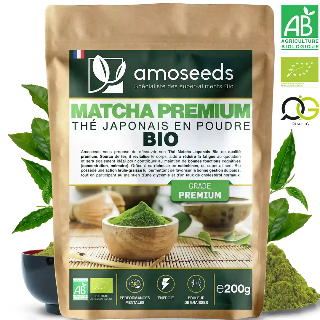 Matcha Bio en poudre