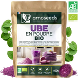 Ube en poudre Bio 100g