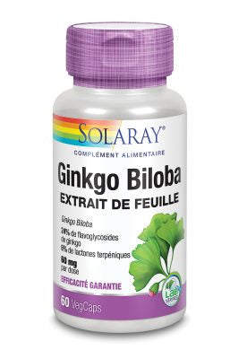 Ginkgo Biloba 60mg 24% Flavoglycosides 60 gélules